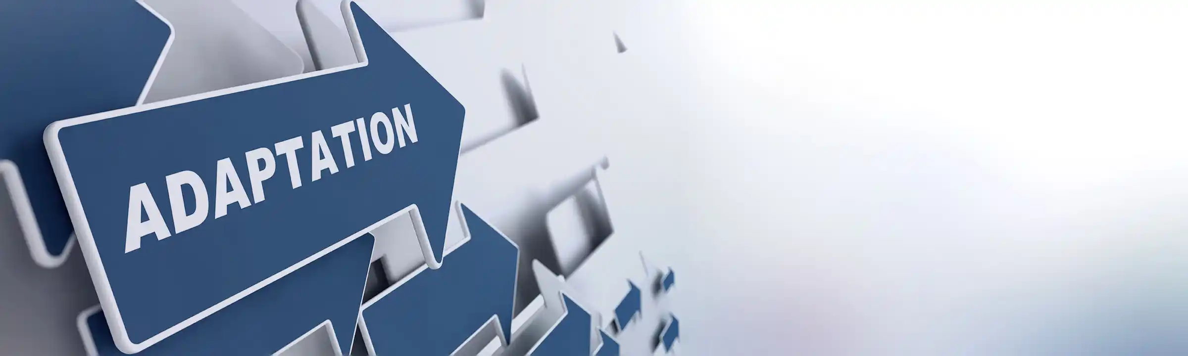 Microplex Printers Adapt to Your Environment.